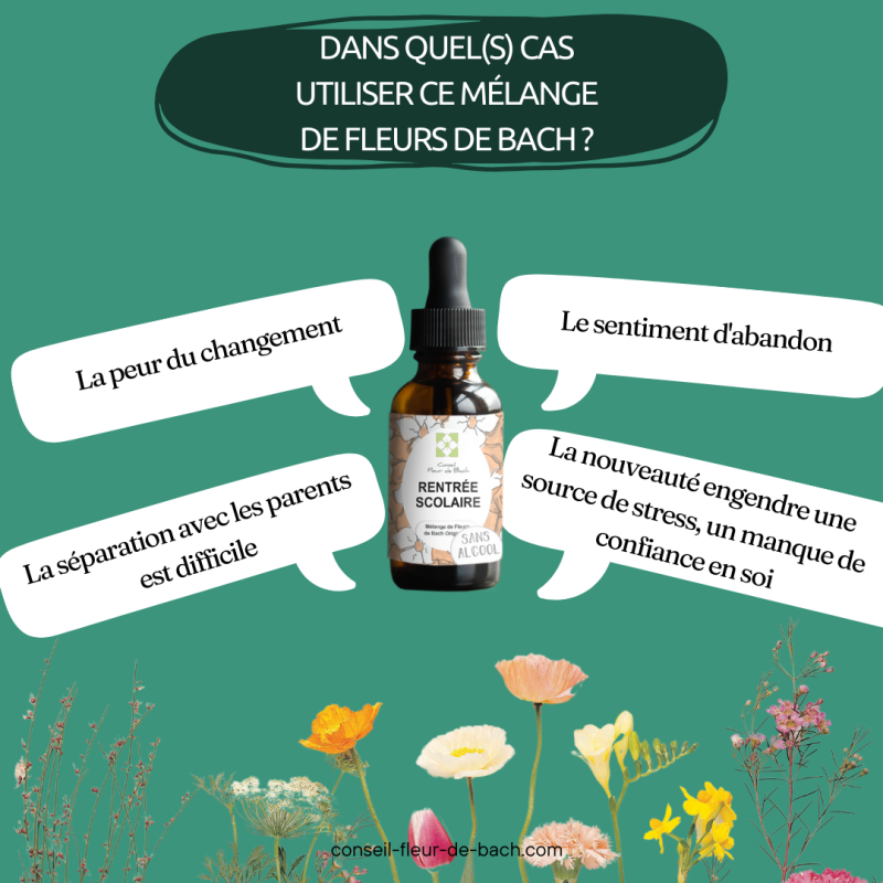 Fleurs de Bach Rentrée Scolaire pour gérer la rentrée des classes sereinement