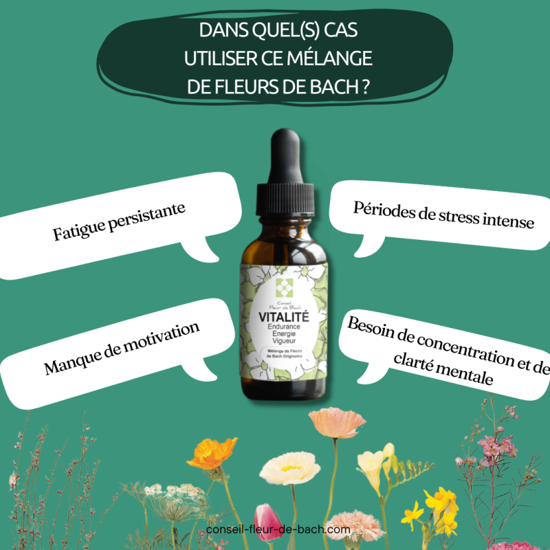Retrouvez booster l'énergie nécessaire avec les Fleurs de Bach Energie