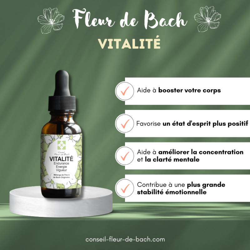 Retrouvez booster l'énergie nécessaire avec les Fleurs de Bach Energie
