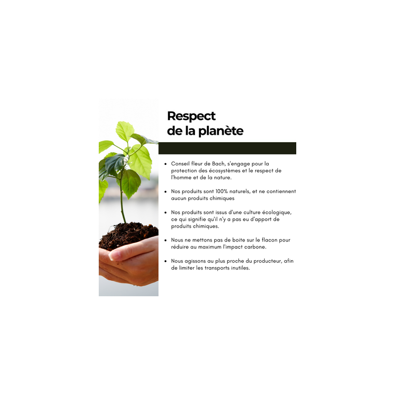 Fleurs de Bach Ménopause un Mélange Naturel et Efficace pour Soulager des symptômes