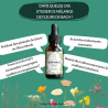 Fleur de Bach confiance en soi- Une aide efficace et 100% naturelle