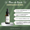 Fleur de Bach confiance en soi- Une aide efficace et 100% naturelle