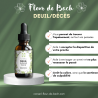 Fleurs de bach Deuil-Décès pour vous aider à passer cette étape