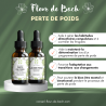 Je voudrais perdre quelques Kilos, mais je n'y arrive pas - Conseil-fleur de bach vous aide.