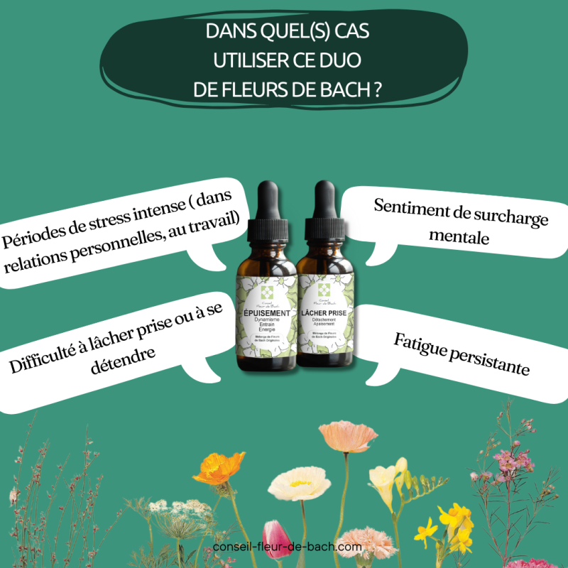 Mon travail et ma vie privée me stress - Conseil-fleur de bach vous aide à vous sentir mieux
