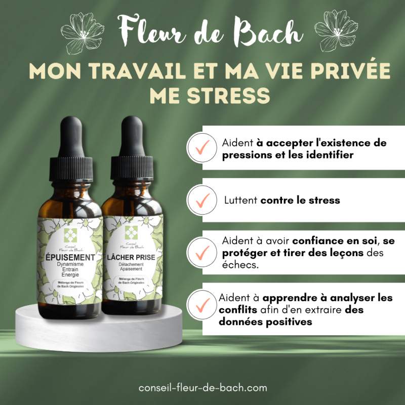 Mon travail et ma vie privée me stress - Conseil-fleur de bach vous aide à vous sentir mieux