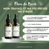 Mon travail et ma vie privée me stress - Conseil-fleur de bach vous aide à vous sentir mieux