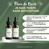 Je suis triste, sans motivation - Conseil-fleur de bach vous aide à vous sentir mieux