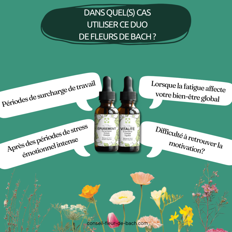 Je n'arrive plus à gérer ma vie professionnelle et ma vie personnelle - Conseil-fleur de bach vous aide