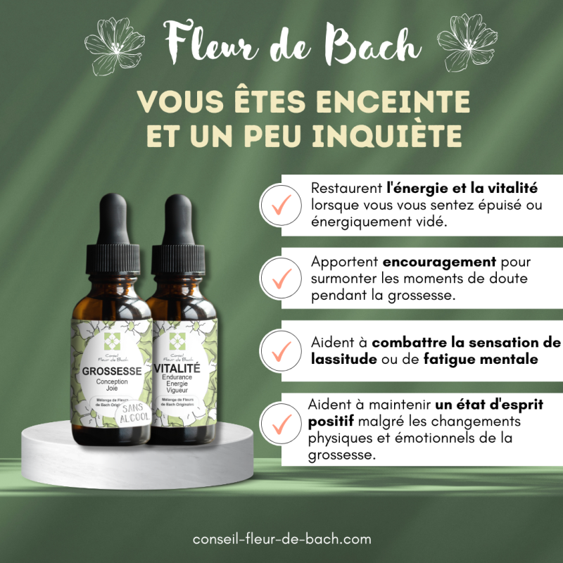 Vous êtes enceinte et un peu inquiète - Conseil fleur de Bach