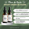 Mon enfant est coléreux et impatient, comment apaiser ses crises ? Conseil fleur de Bach