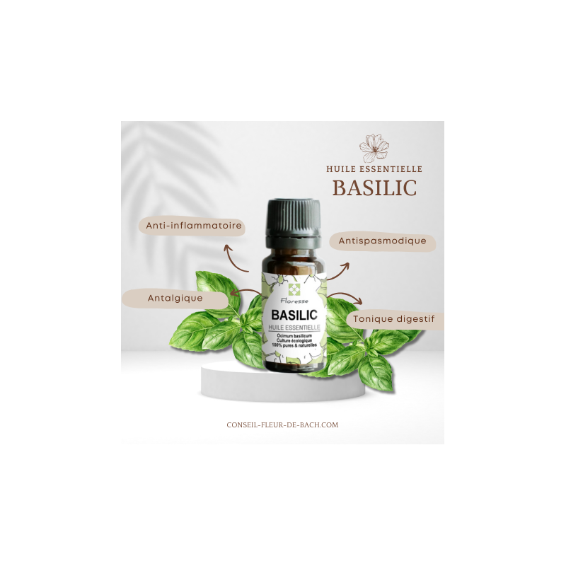 Huile Essentielle de Basilic -100% Pure, Naturelle, Intégrale.