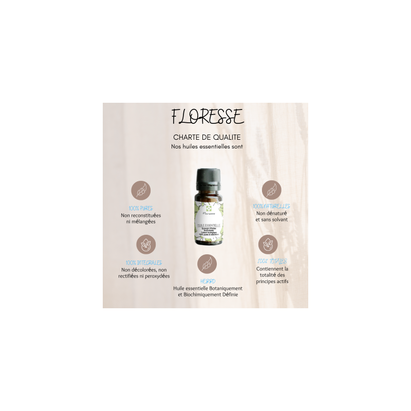 Huile Végétale de Calophylle BIO ( TAMANU)