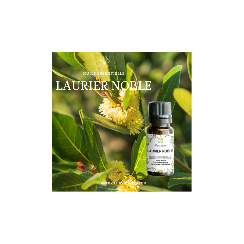 Aceite Esencial de LAUREL NOBLE BIO