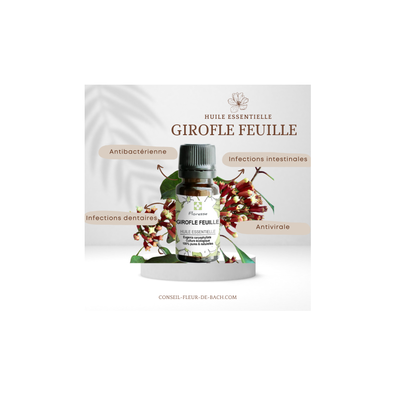 Huile Essentielle de GIROFLE FEUILLE