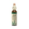 Fleur de Bach Agrimony Originale - 1 conseil-fleur-de-bach
