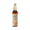 Fleur de Bach Cherry plum Originale - 6 conseil-fleur-de-bach