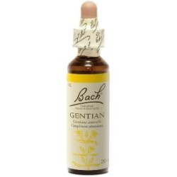 Fleur de Bach Gentian Originale - 12 conseil-fleur-de-bach