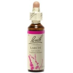 Fleur de Bach Larch Originale - 19 conseil-fleur-de-bach- Prix bas