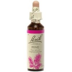 Fleur de Bach Pine Originale - 14 conseil-fleur-de-bach