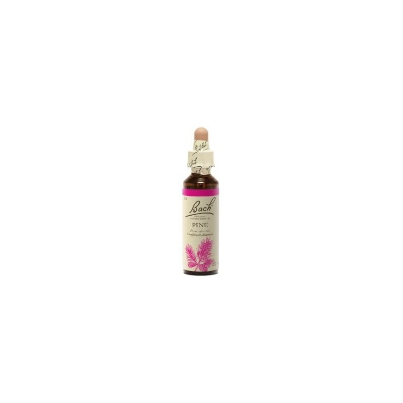 Fleur de Bach Pine Originale - 14 conseil-fleur-de-bach Fleur de Bach Pine Originale - 14 conseil-fleur-de-bach
