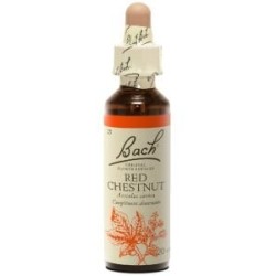 Fleur de Bach Red chestnut Originale - 25 conseil-fleur-de-bach