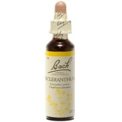 Fleur de Bach Scleranthus Originale - 28 conseil-fleur-de-bach
