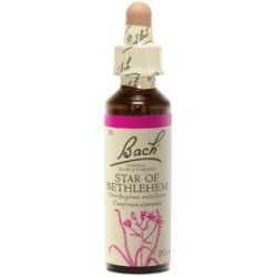 Fleur de Bach Star of bethlehem Originale - 29- Dame de Onze Heure