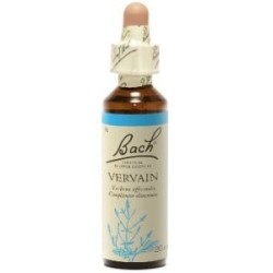 Fleur de Bach Vervain Originale - 31 conseil-fleur-de-bach