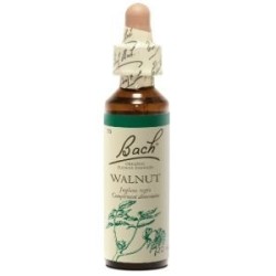 Fleur de Bach Walnut Originale - 33 conseil-fleur-de-bach
