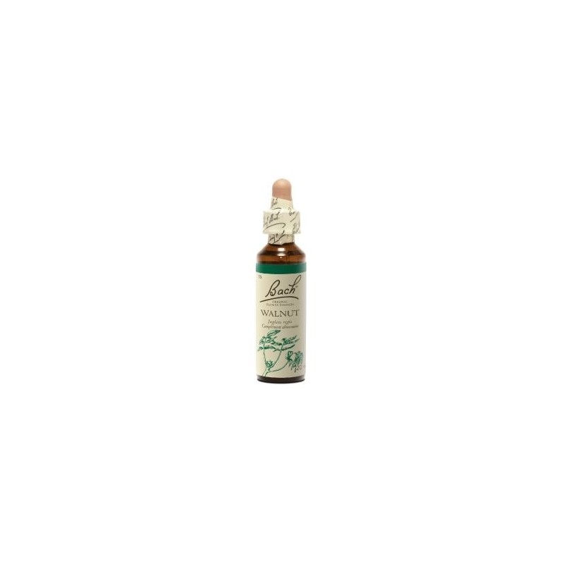 Fleur de Bach Walnut Originale - 33 conseil-fleur-de-bach Fleur de Bach Walnut Originale - 33 conseil-fleur-de-bach