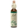 Fleur de Bach Walnut Originale - 33 conseil-fleur-de-bach