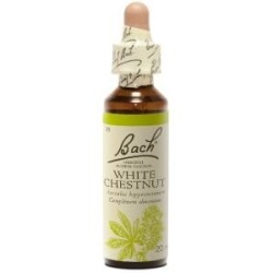 Fleur de Bach White chestnut Originale - 29 conseil-fleur-de-bach