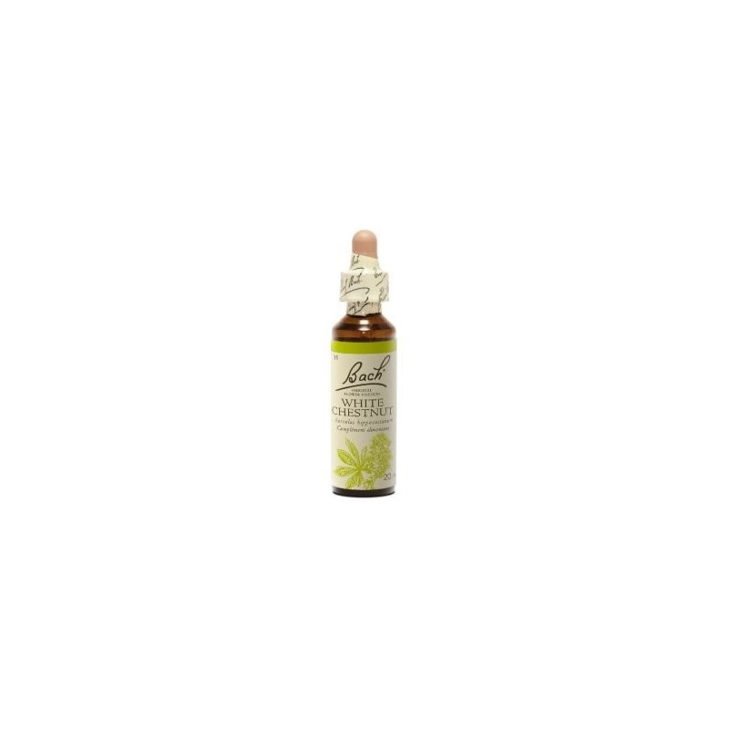 Fleur de Bach White chestnut Originale - 29 conseil-fleur-de-bach Fleur de Bach White chestnut Originale - 29 conseil-fleur-de-bach