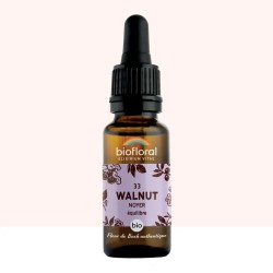 Fleur de Bach Walnut Originale - 33 conseil-fleur-de-bach