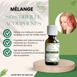 Acouphènes - Comment apaiser les bourdonnements avec les huiles essentielles ? Ne subissez plus