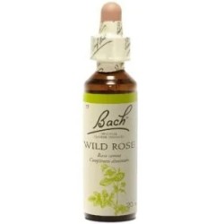 Fleur de Bach Wild Oat Originale - 2 conseil-fleur-de-bach