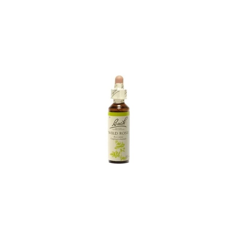 Fleur de Bach Wild Oat Originale - 2 conseil-fleur-de-bach Fleur de Bach Wild Oat Originale - 2 conseil-fleur-de-bach
