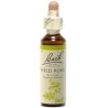 Fleur de Bach Wild Oat Originale - 2 conseil-fleur-de-bach