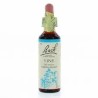 Fleur de Bach Vine Originale - 32 conseil-fleur-de-bach