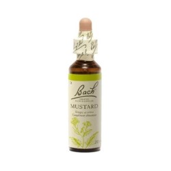 Fleur de Bach Mustard Originales - 21 conseil-fleur-de-bach