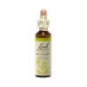 Fleur de Bach Mustard Originales - 21 conseil-fleur-de-bach