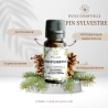 Huile Essentielle de Pin sylvestre -100% Pure, Naturelle, Intégrale.