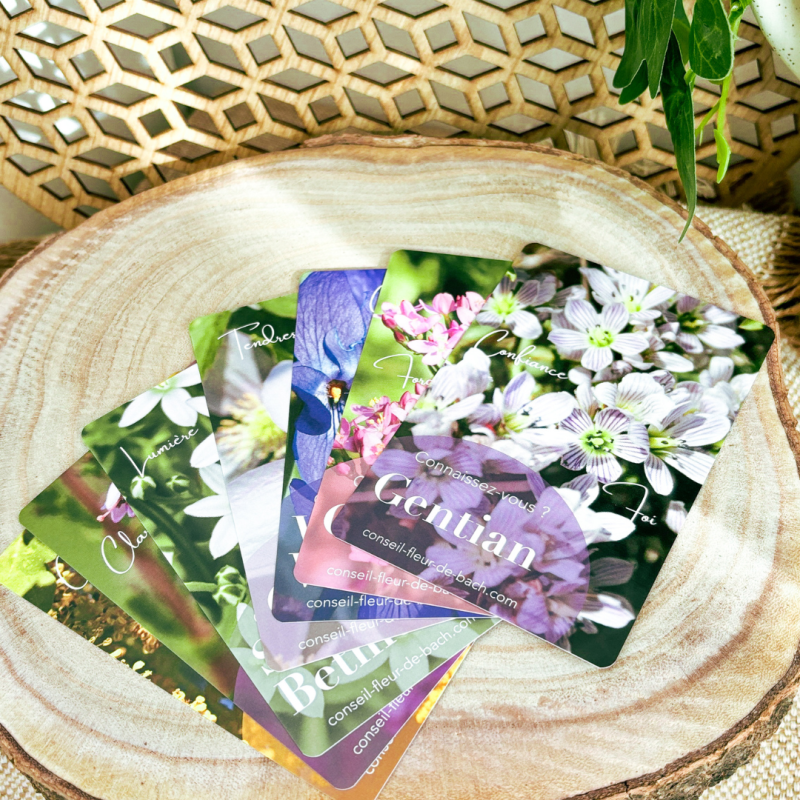 CARTE DE FLEURS DE BACH - 38 CARTES DE ANGELIQUE