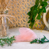 PEAUX LUMINEUSE - DUO HUILES VEGETALES + GUA SHA