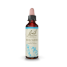 Fleur de Bach Rock Water Originale - 27 conseil-fleur-de-bach