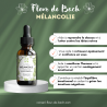 Fleur de Bach Mélancolie pour soulager du mal de vivre - Gardez le contrôle