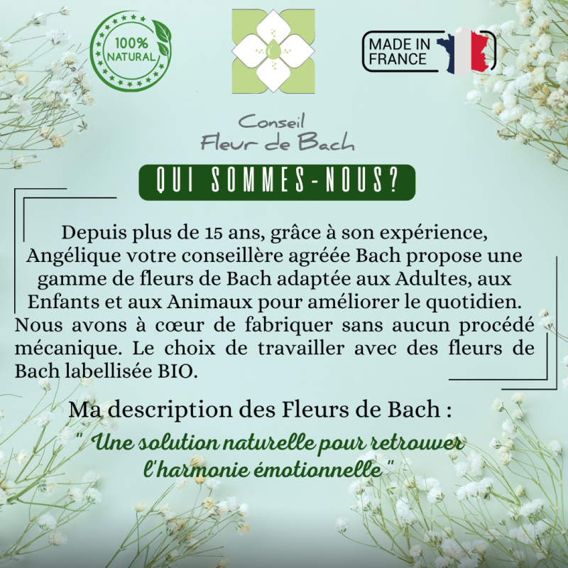 Fleur de Bach Stress- Apaisez et gérez votre stress naturellement