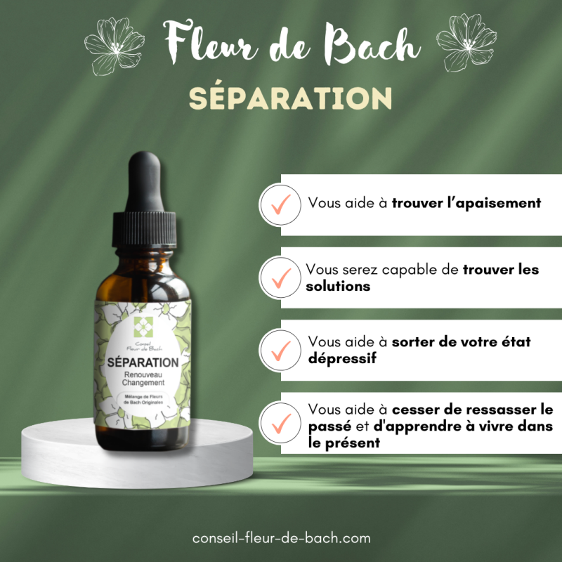 Fleur de Bach Divorce et Séparation un bon soutien moral et emotionnel
