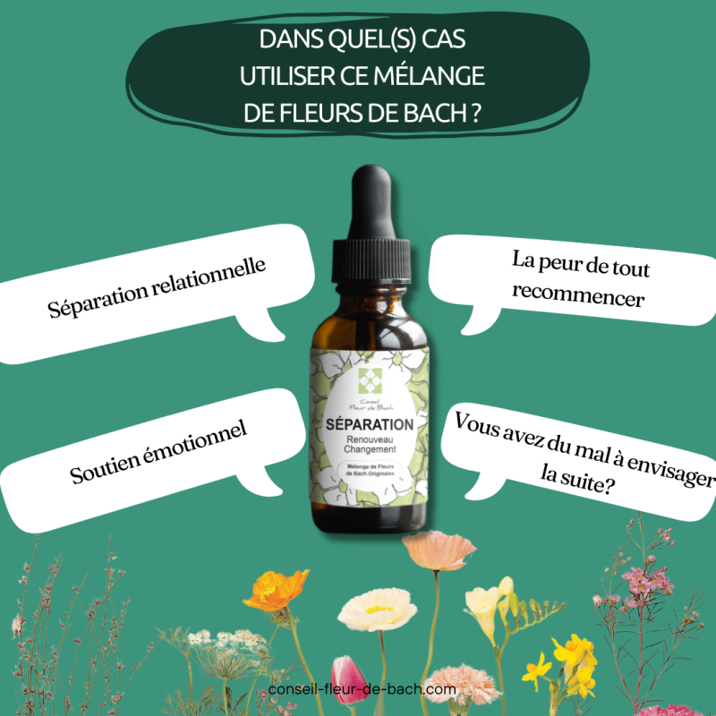 Fleur de Bach Divorce et Séparation un bon soutien moral et emotionnel